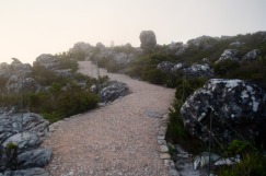 Path on Table Mountain